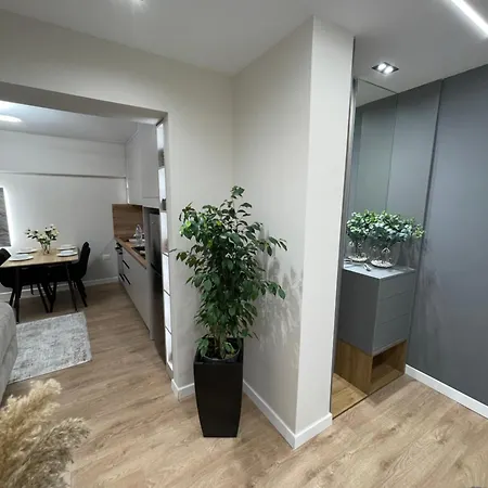 Gold Luxury House Apartment